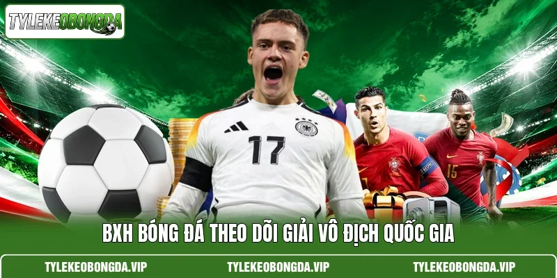 BXH bóng đá theo dõi giải vô địch quốc gia