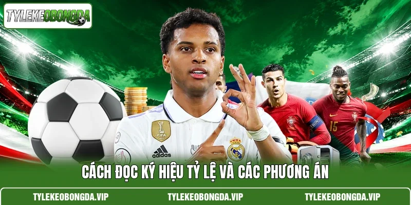 Cách đọc ký hiệu tỷ lệ và các phương án