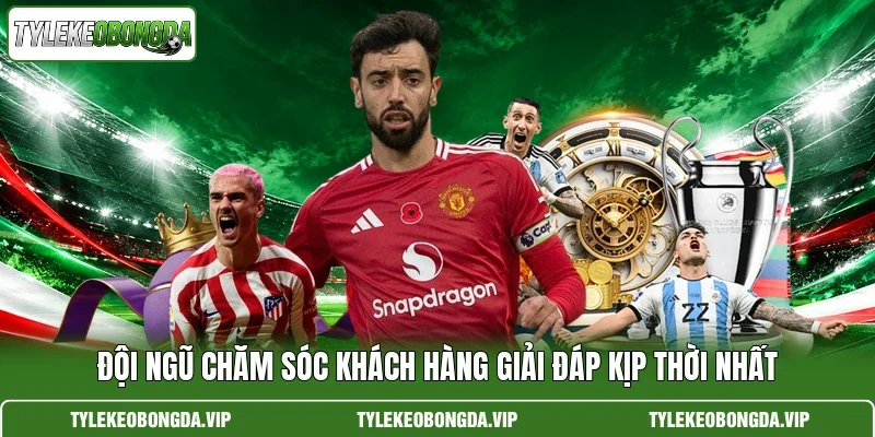 Đội ngũ chăm sóc khách hàng giải đáp kịp thời nhất