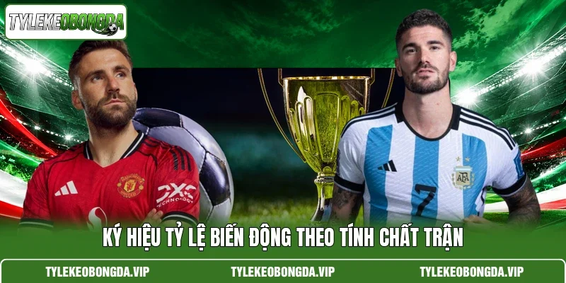 Ký hiệu tỷ lệ biến động theo tính chất trận